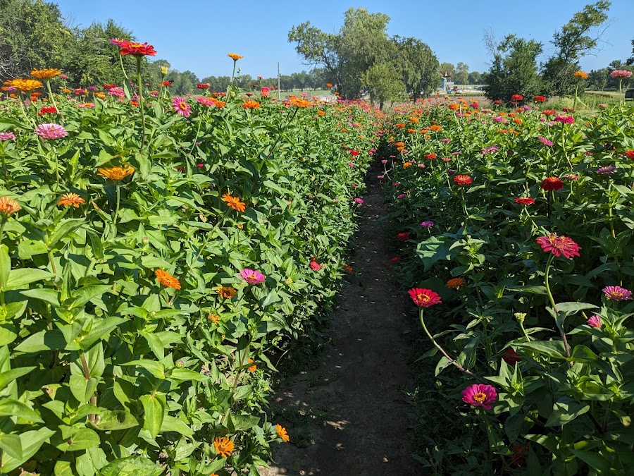 Gieringers Family Farm