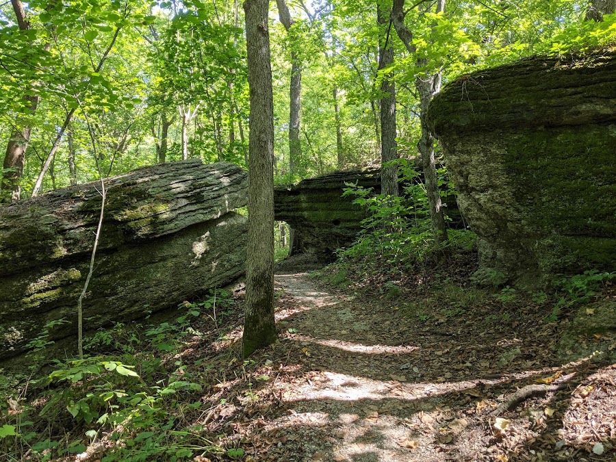Burr Oak Woods Conservation Area
