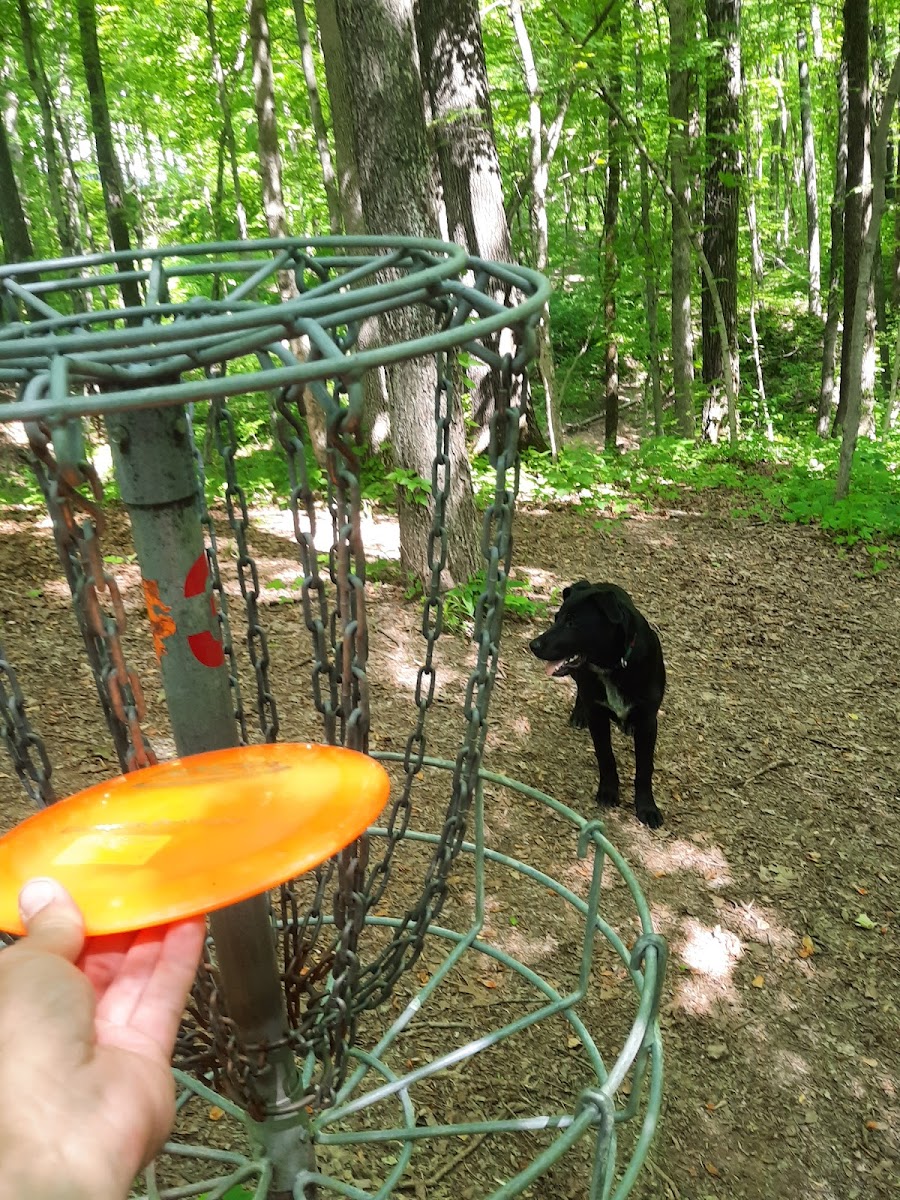 Muldraugh Disc Golf Course