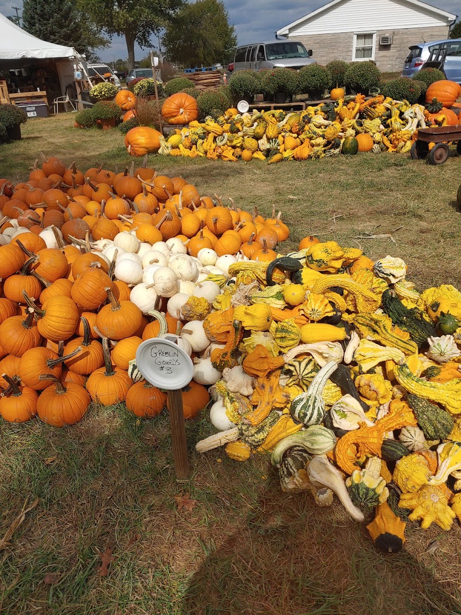 Welch's Holiday Farm