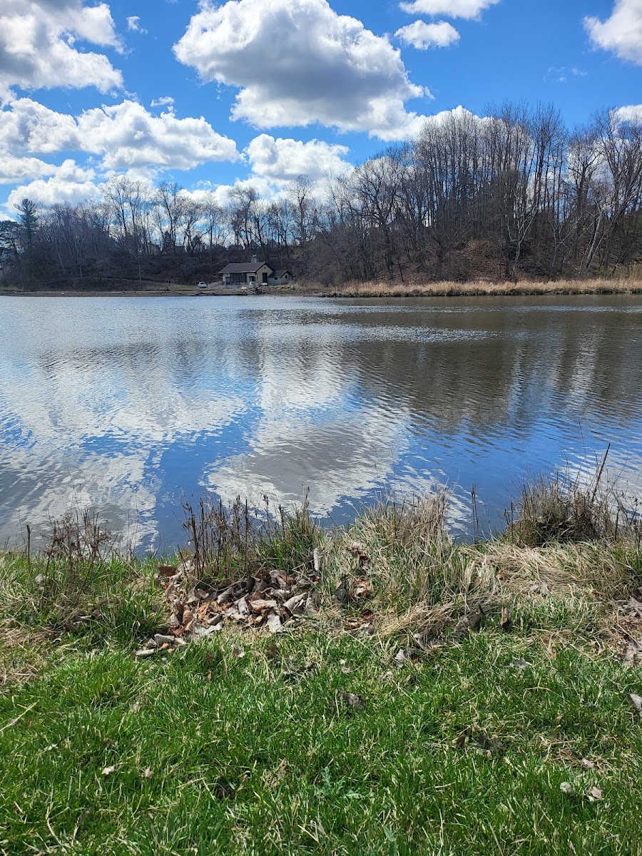 Mill Pond