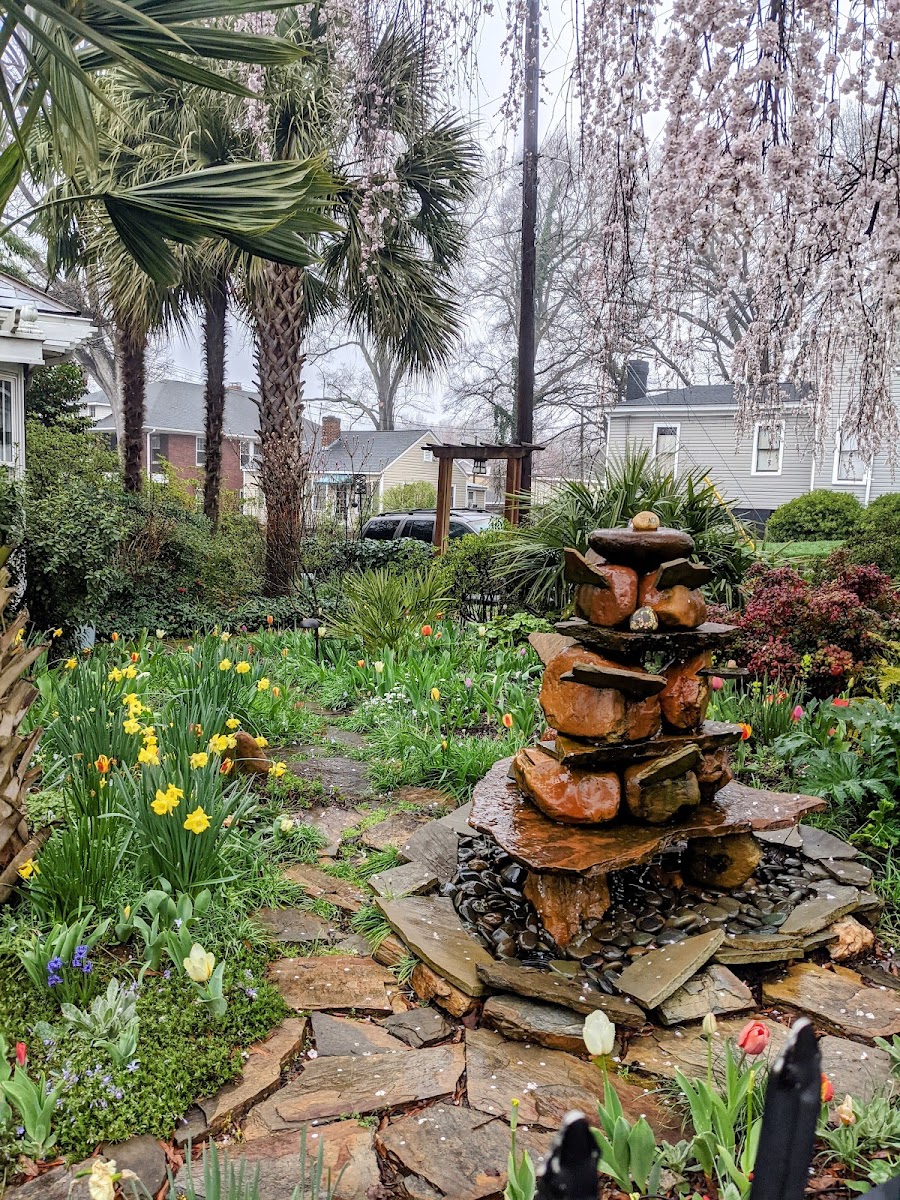 Plaza Midwood