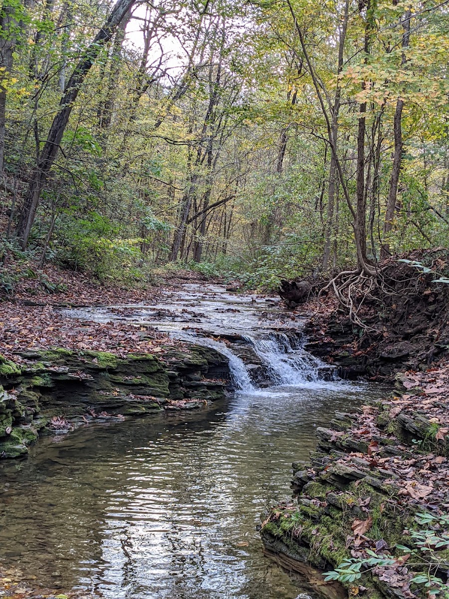 Montour Woods Conservation Area