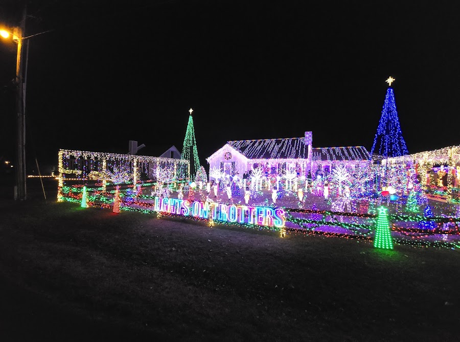Lights on Trotters