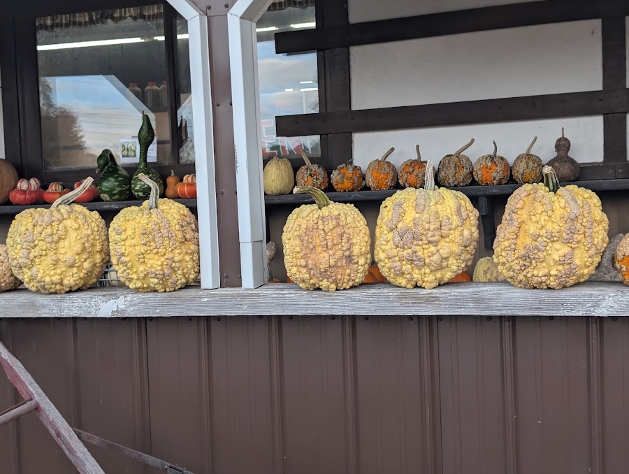 Auntie Evie’s Apple Orchard