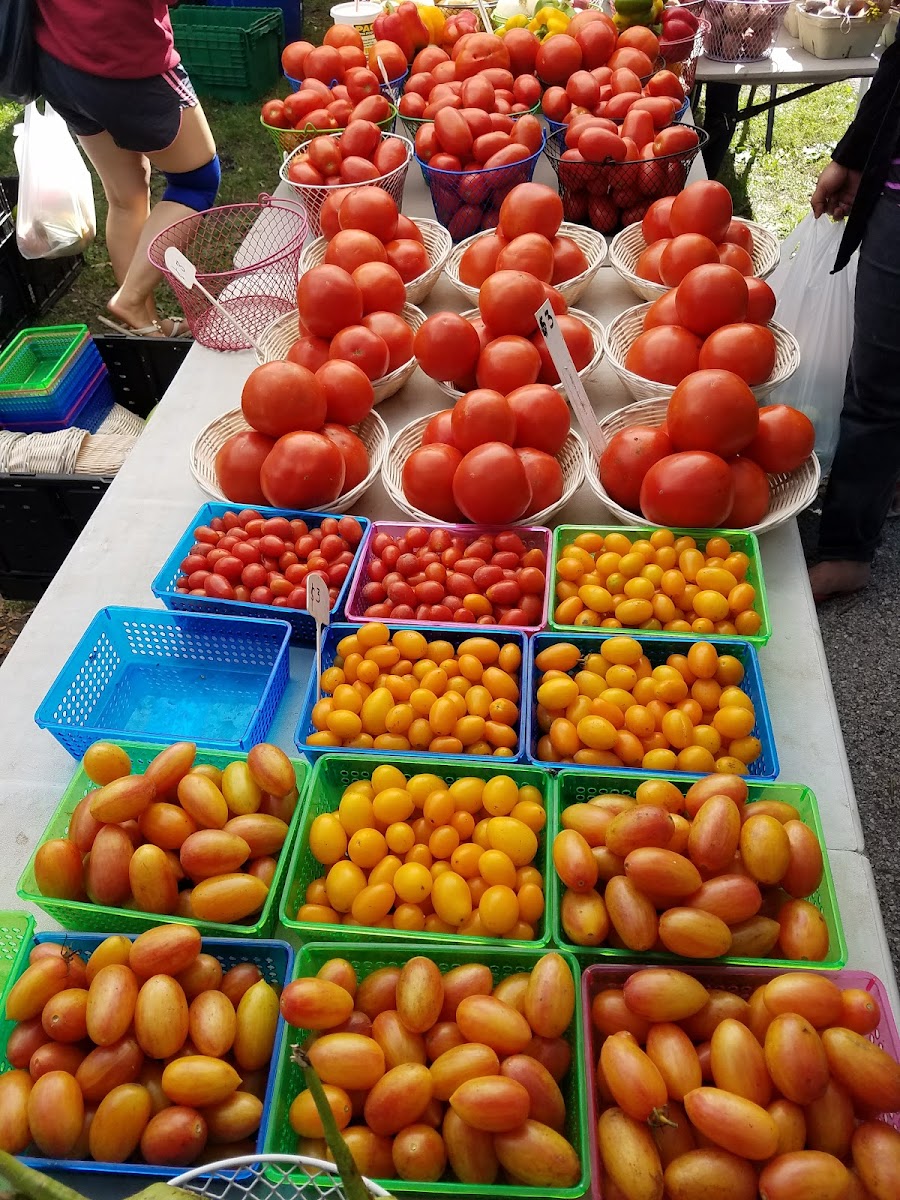 Walker Square Farmers' Market