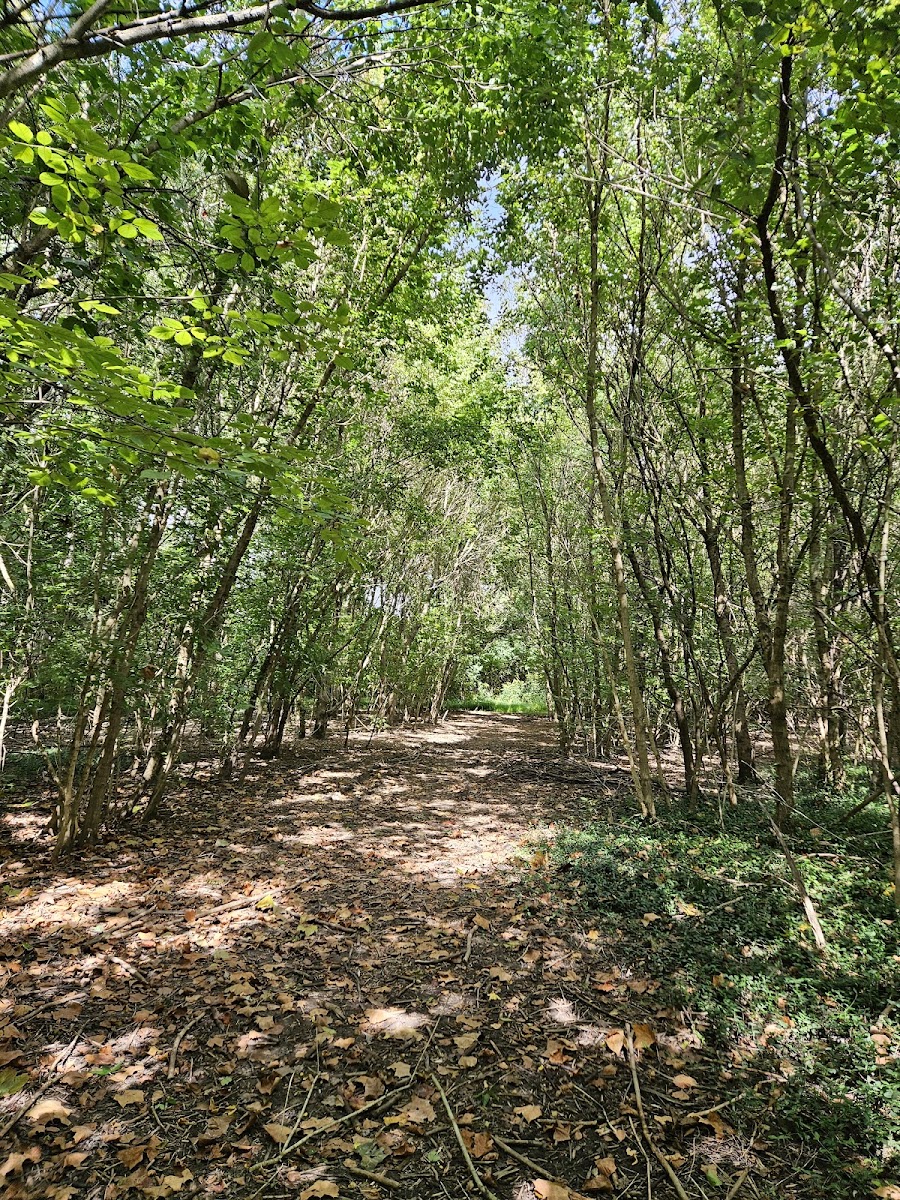 Valley View Nature Preserve
