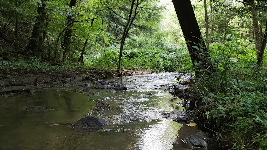 Tomlinson Run State Park Disc Golf Course