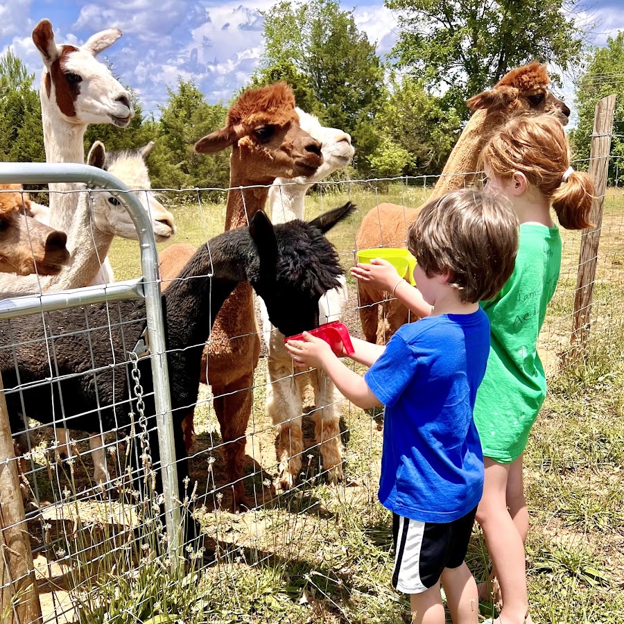 FairyTails Petting Farm