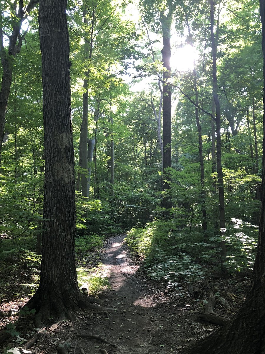 Cudahy Nature Preserve