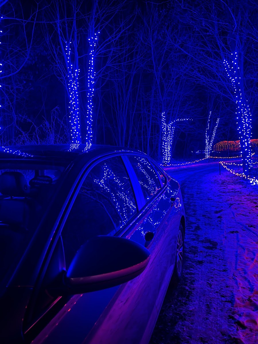 Farm of Lights
