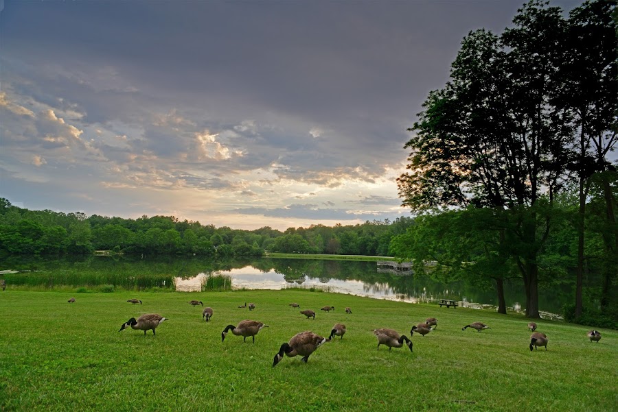 Fort Harrison State Park