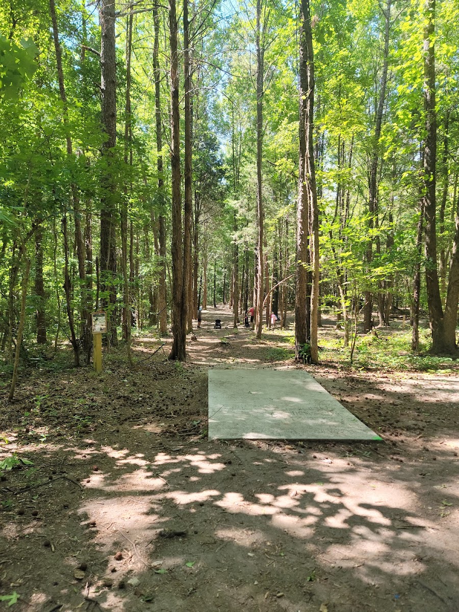 Eastway Disc Golf Course