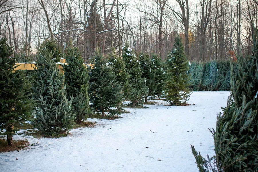 O'Malley Family Farm & Nursery (formerly Trees for Less Nursery)