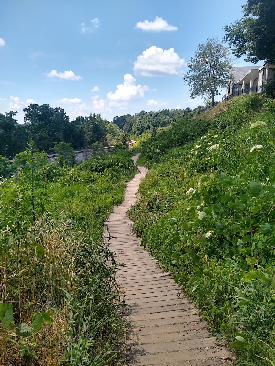 North Bank Trail Head