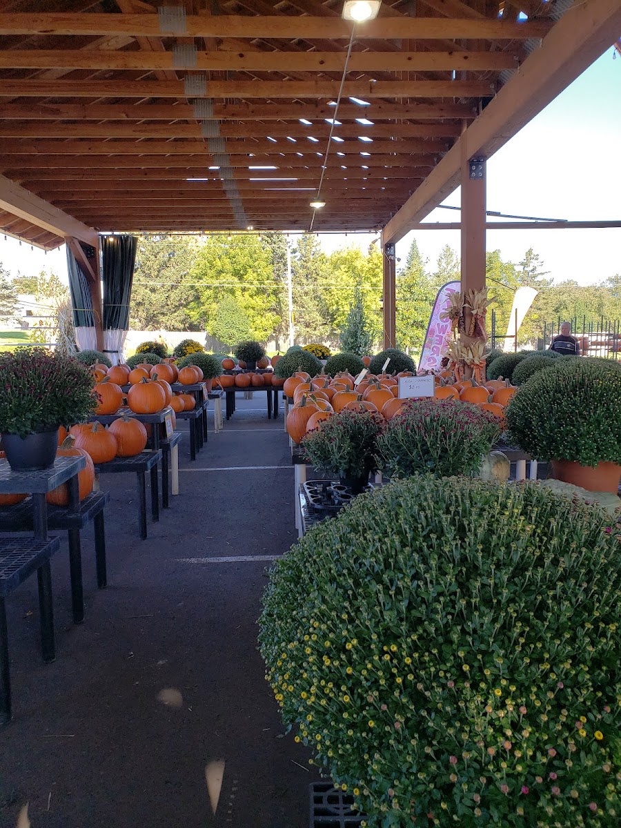 New Berlin Farmers Market