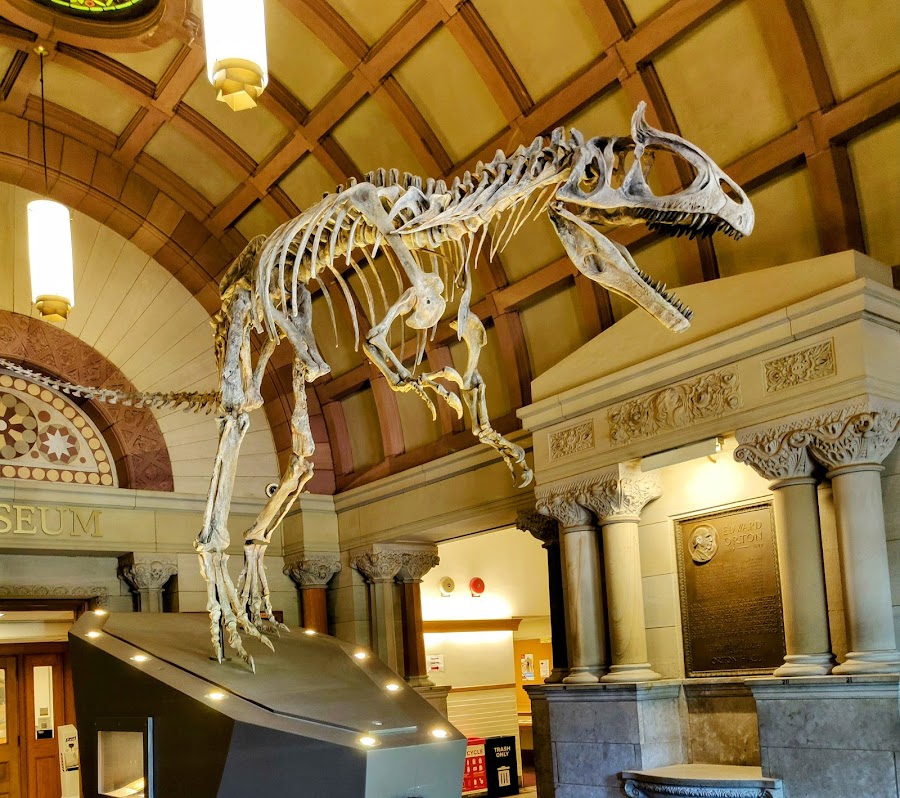 Orton Geological Museum