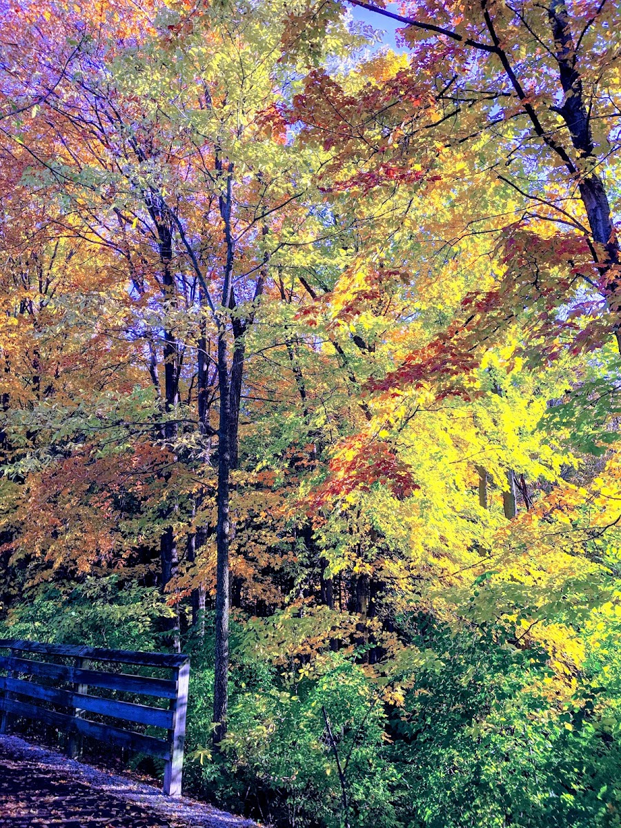 Monon Trail