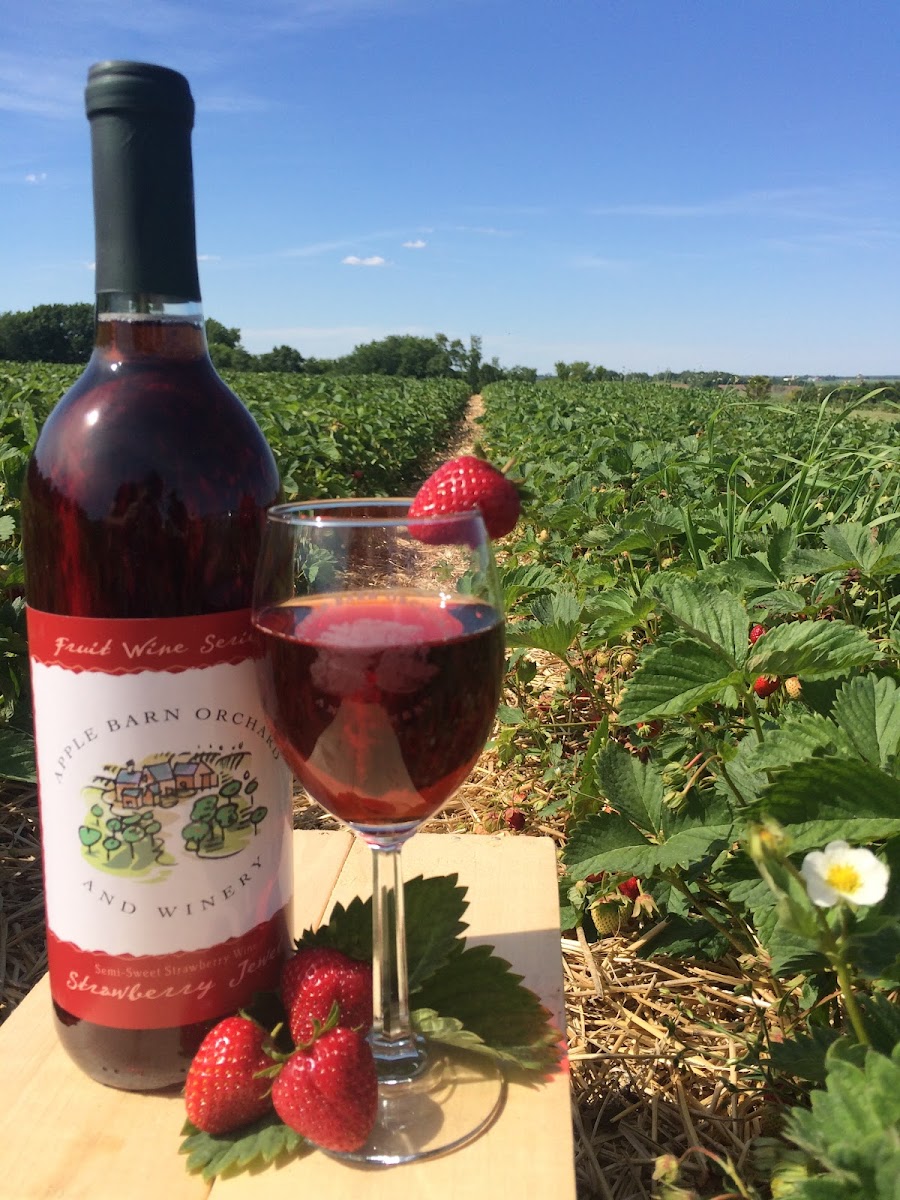Apple Barn Orchard & Winery