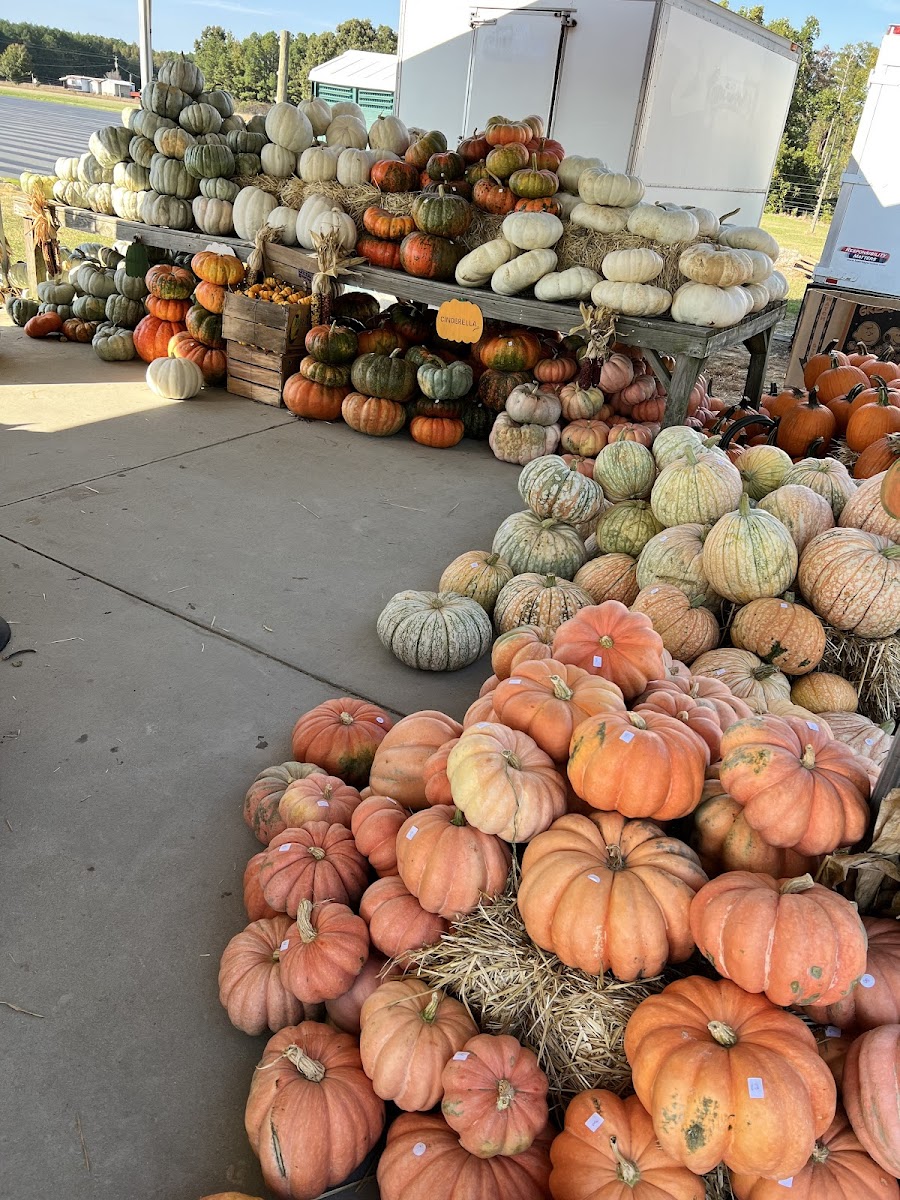 Porter Farms & Nursery Farm Market