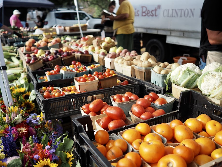 Squirrel Hill Farmers Market