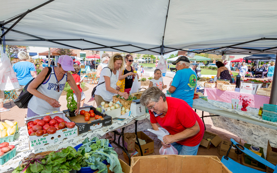 Hendersonville Farmers & Artisan Market