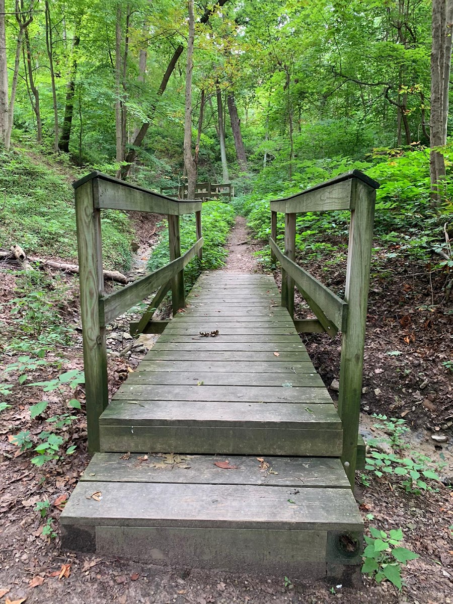 Avon Woods Nature Center