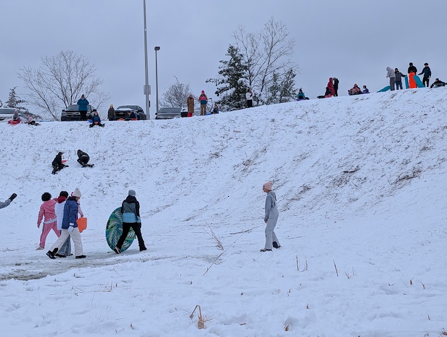 Huntley Bowl Park