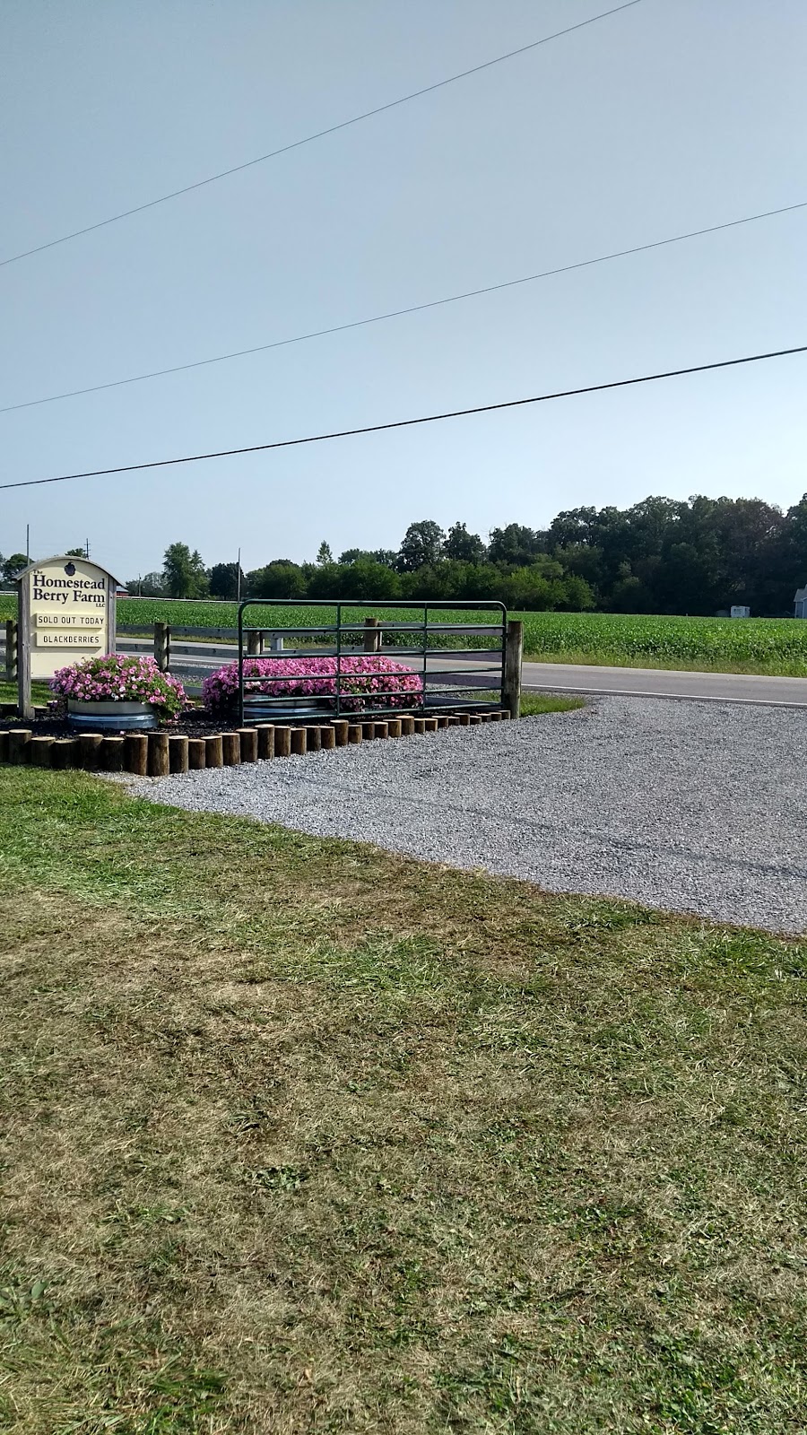 The Homestead Berry Farm