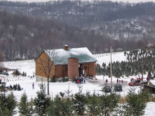 Grupp's Christmas Tree Farm