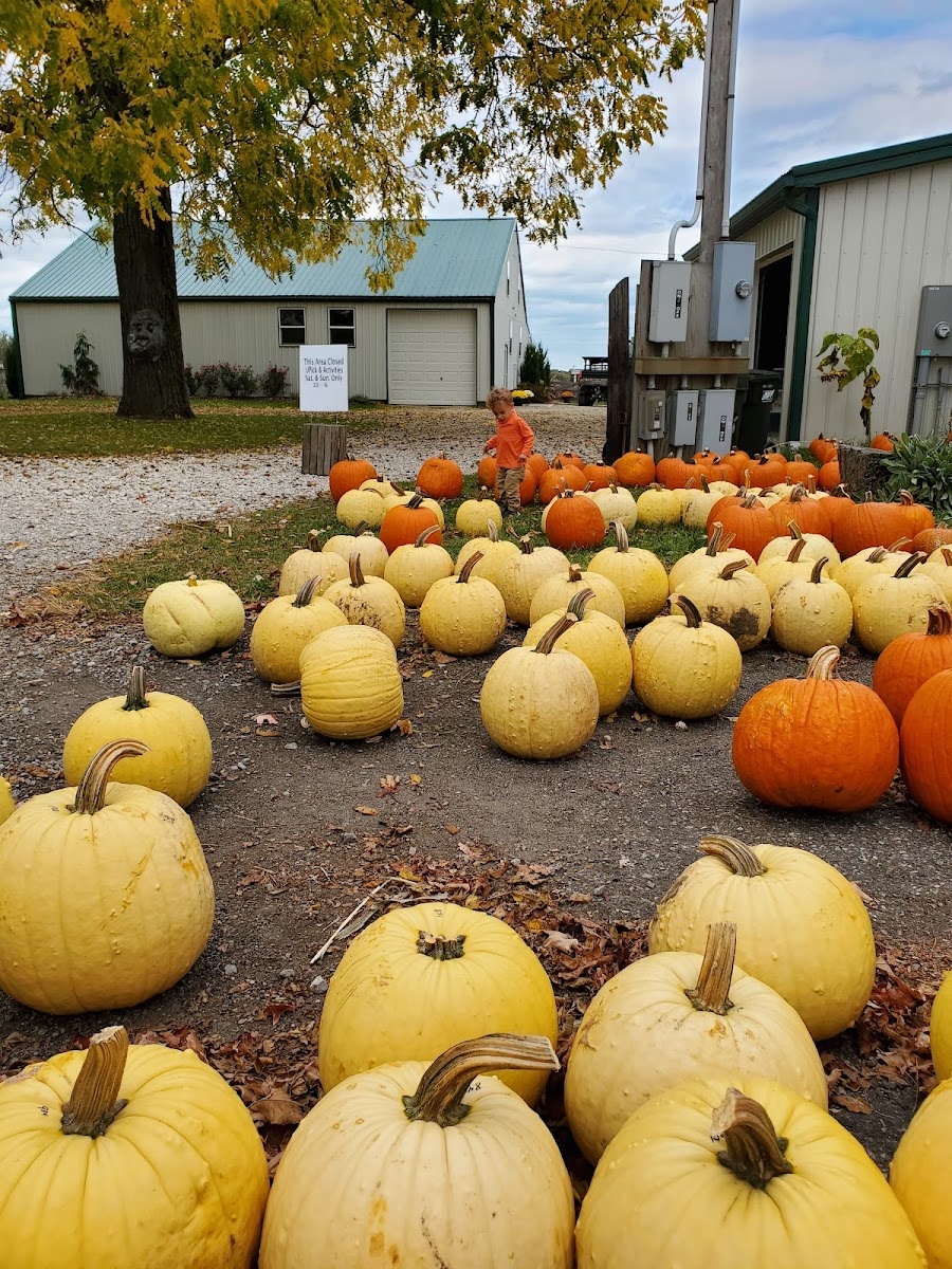 Hillcrest Orchards