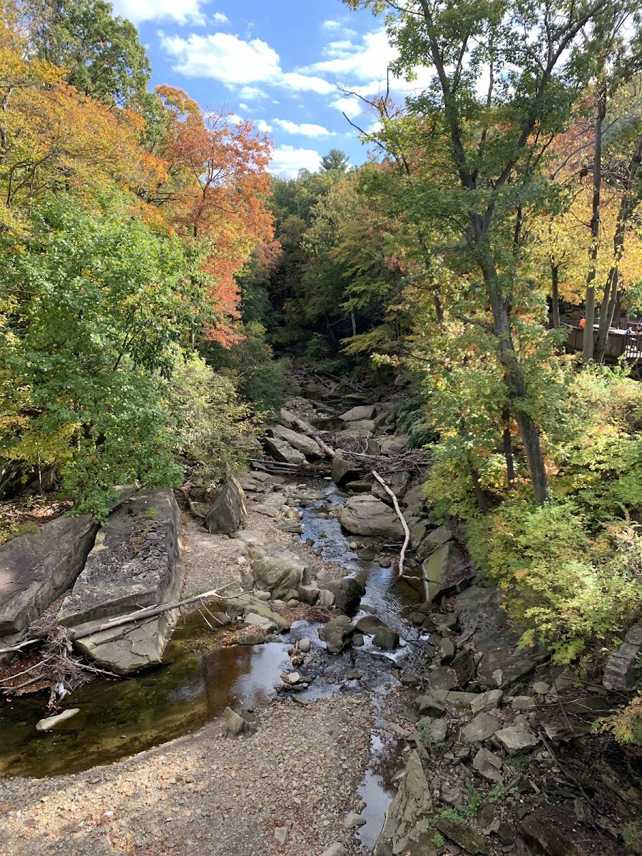 Chippewa Creek Gorge Scenic Overlook