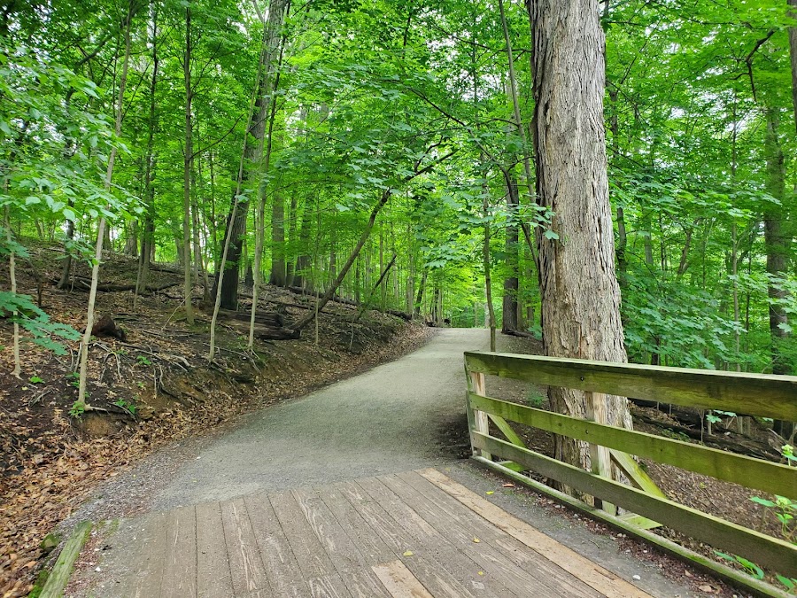 Frick Park