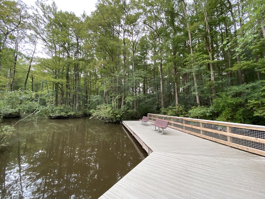 Robertson Millpond Preserve