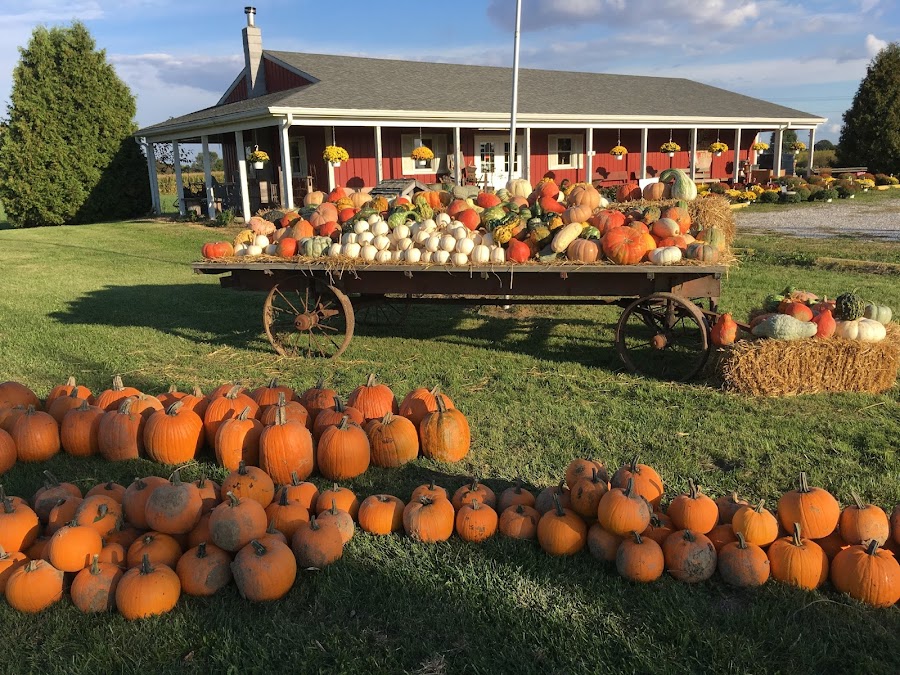 Chandler's Orchard & Country Market