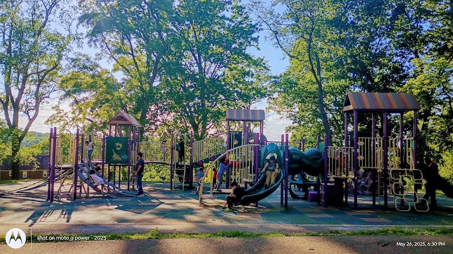 Phillips Park