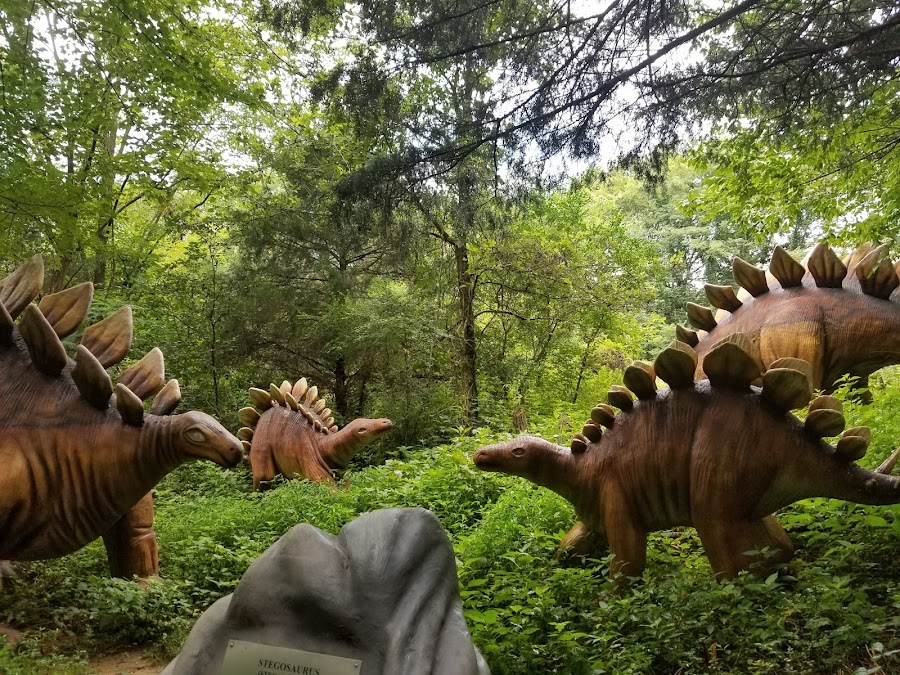 Dinosaur World