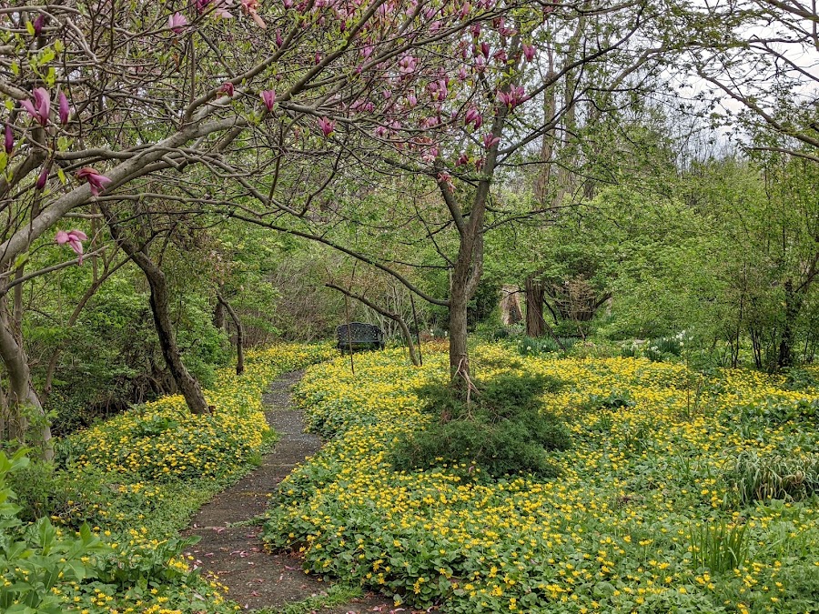 Gardenview Horticultural Park
