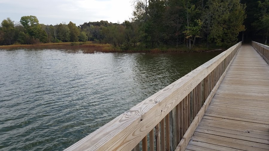 Couchville Lake Trail