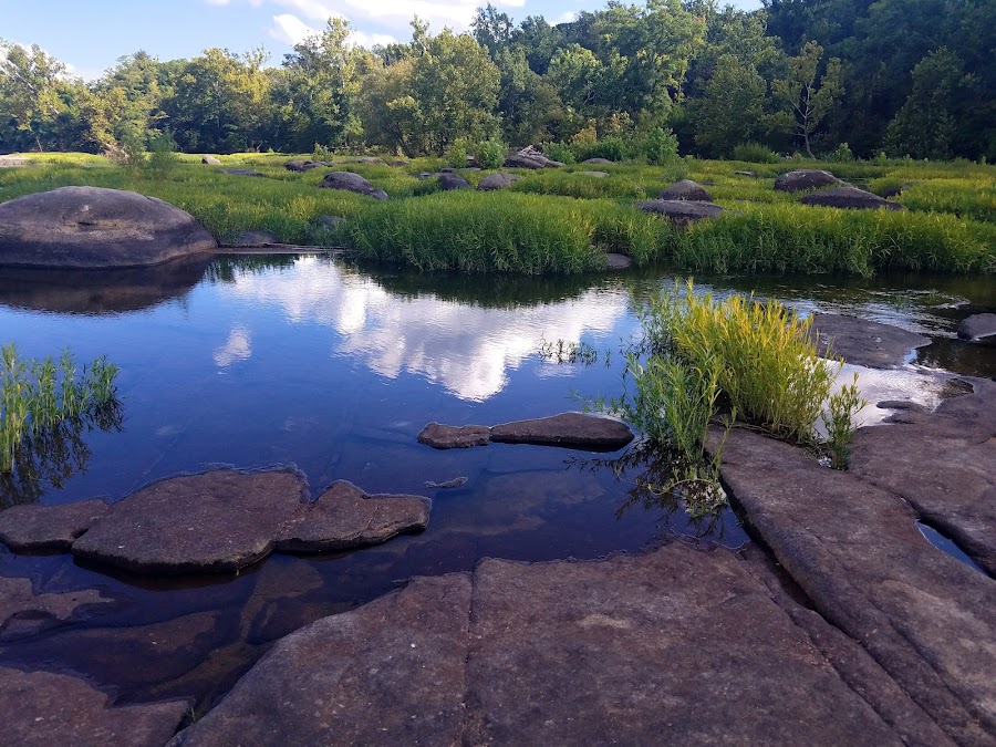 Reedy Creek Trailhead