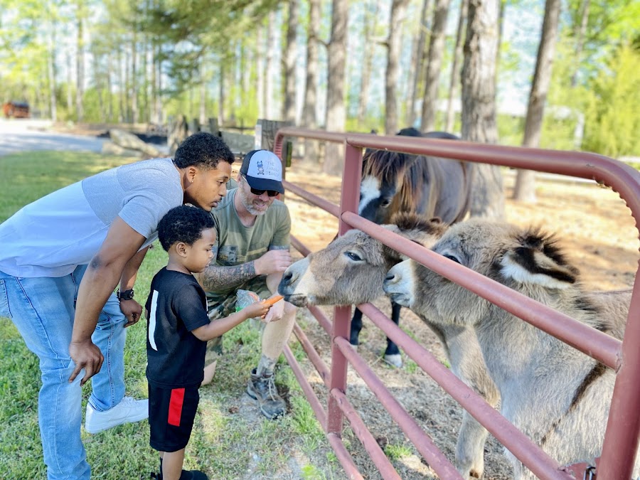 Marie Farms - By appointment only - Team Building Activites, Birthday Parties, and Weddings