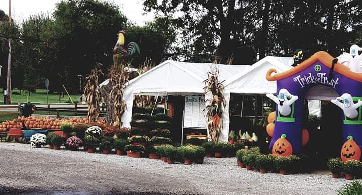 Beck's Farm and Market