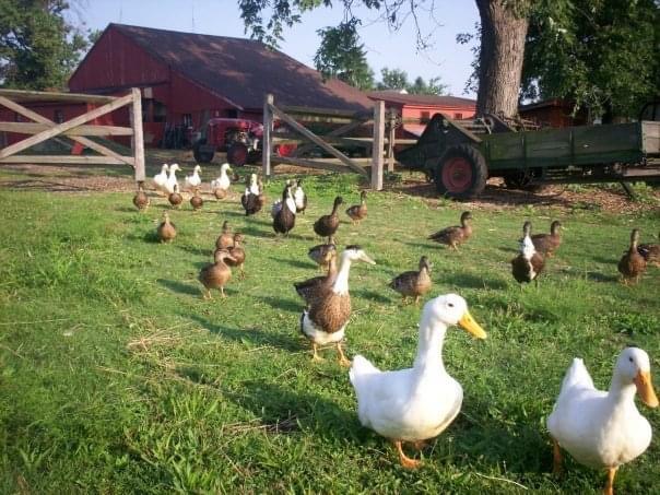 Stearns Homestead