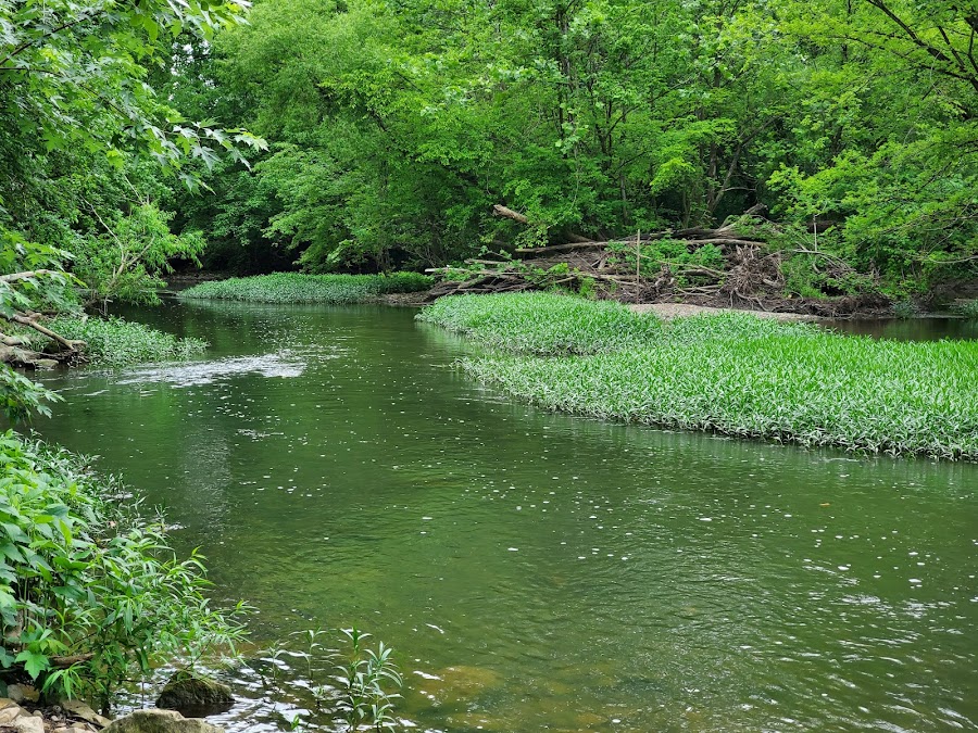 Creekside Park & Arboretum