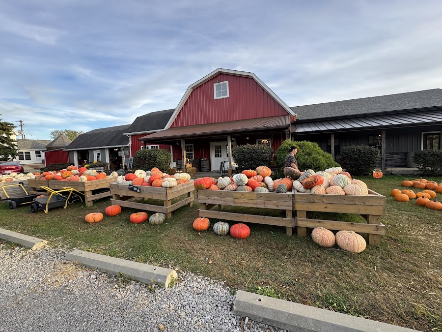 Bennett's Orchard