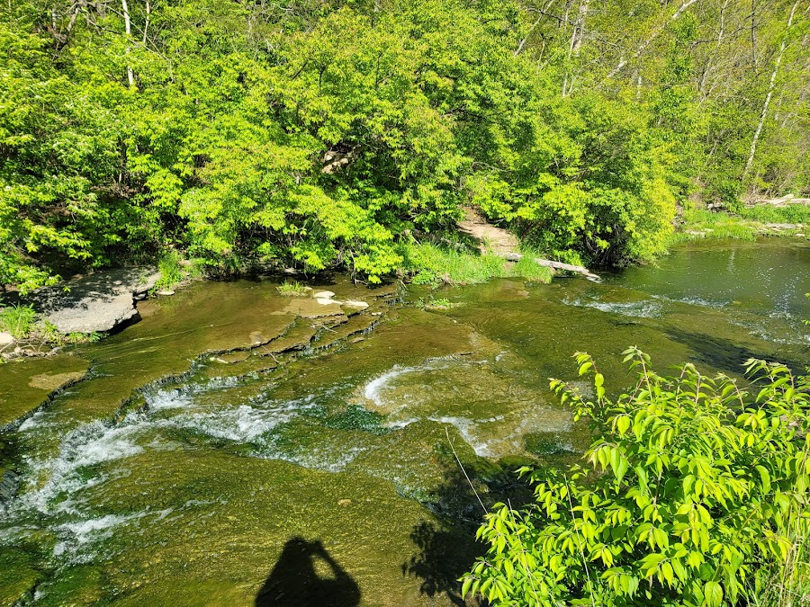 Simpson Creek Nature Trail