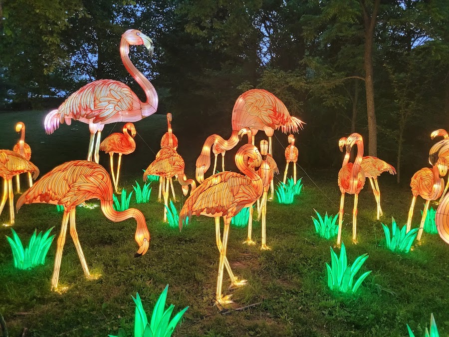 Wild Lights at the Louisville Zoo - May 15-July 26, 2026