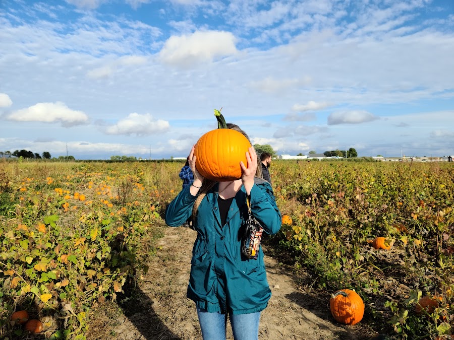 Tuttle Orchards