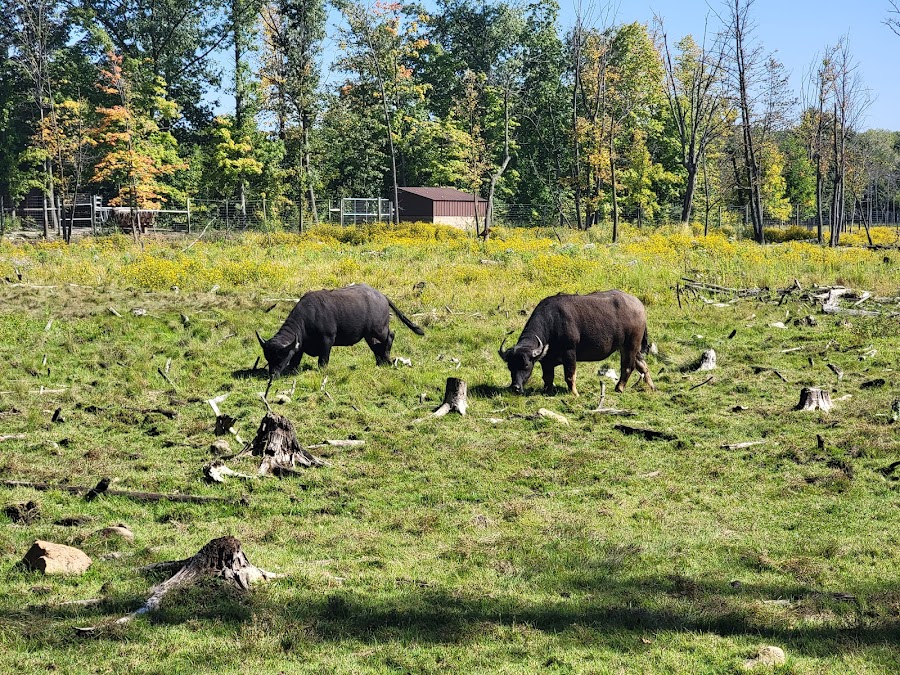 Shalom Wildlife Sanctuary LLC