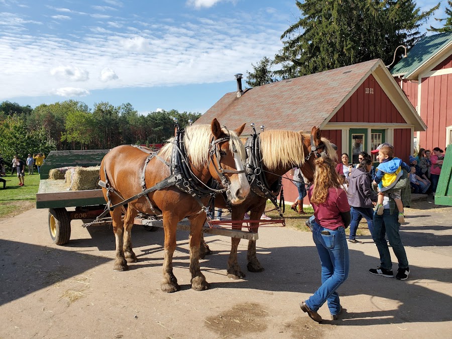 Robinette's Apple Haus & Winery